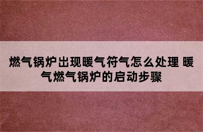 燃气锅炉岀现暖气符气怎么处理 暖气燃气锅炉的启动步骤